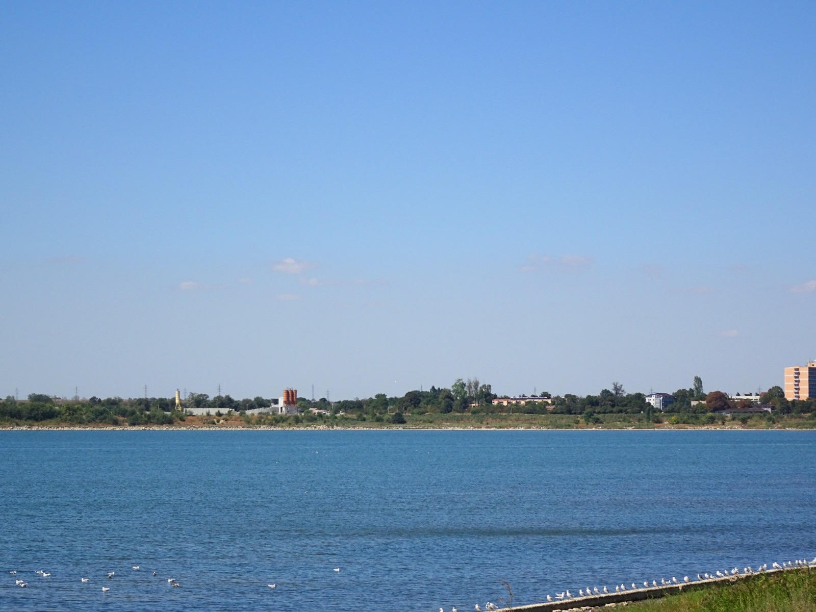 The blue water of Lake Techirghiol, with gulls on the concrete shore and the town of Techirghiol in the distance